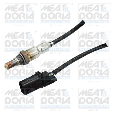 Oxygen Sensor